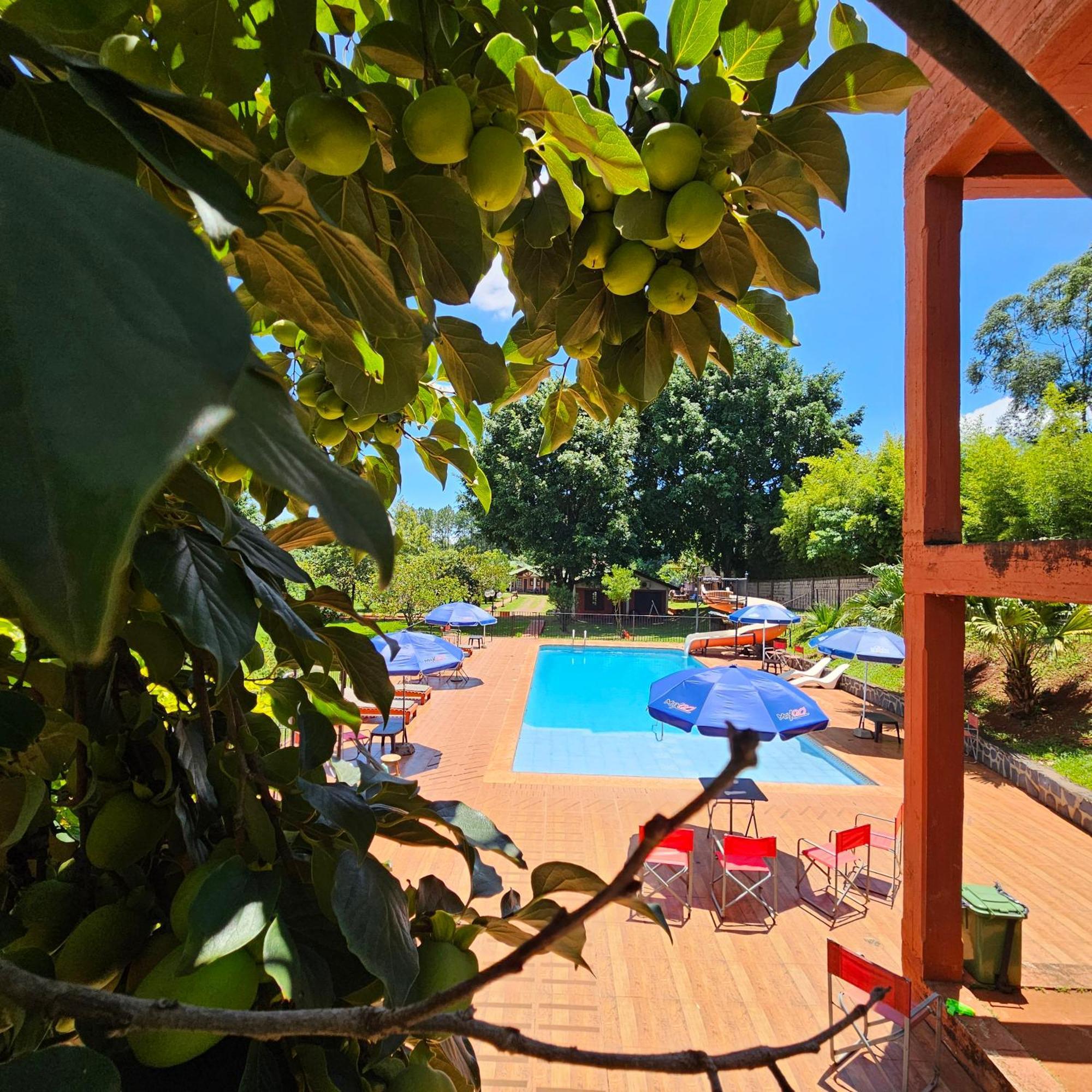 Cabanas El Refugio Del Mensu Puerto Iguazú Eksteriør bilde