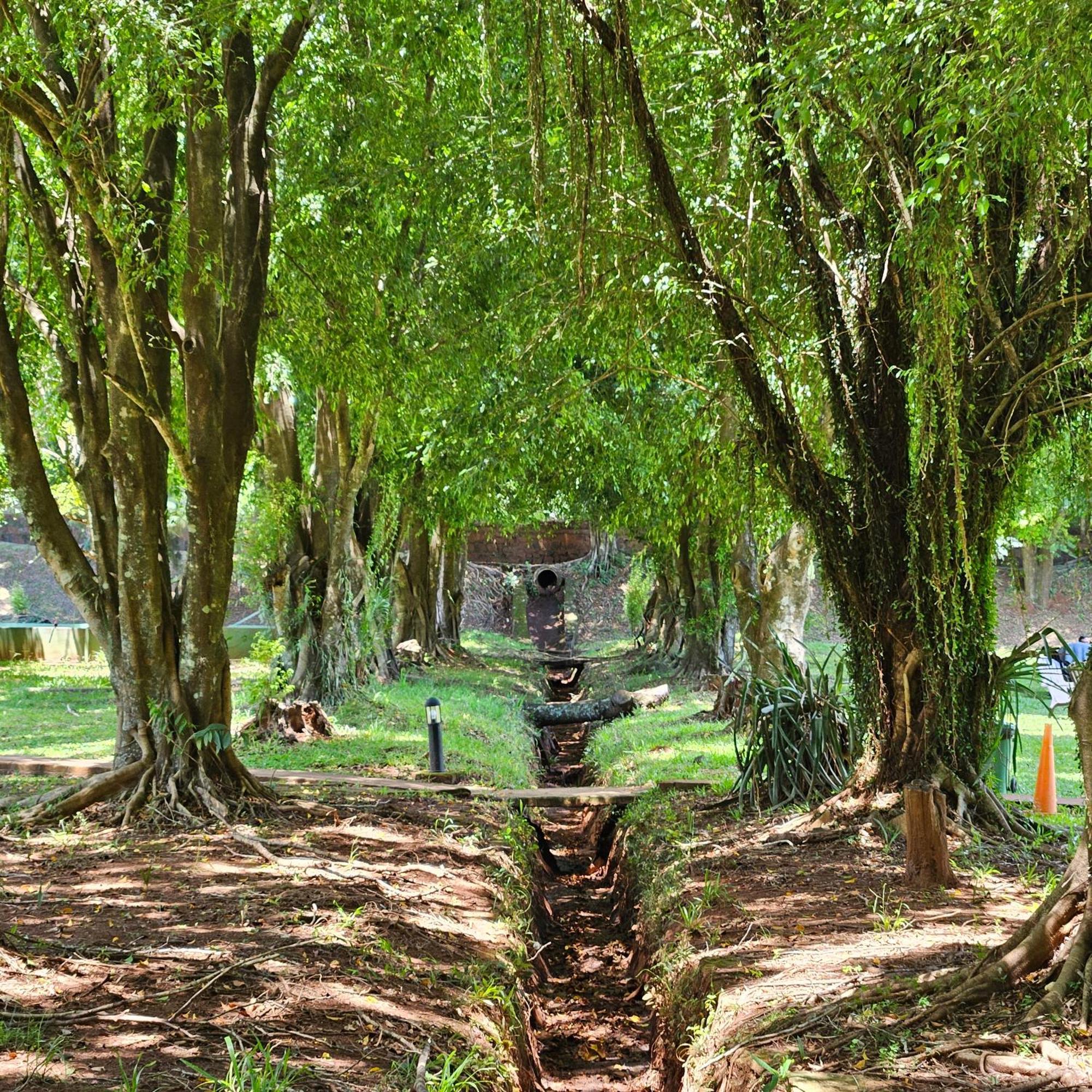 Cabanas El Refugio Del Mensu Puerto Iguazú Eksteriør bilde